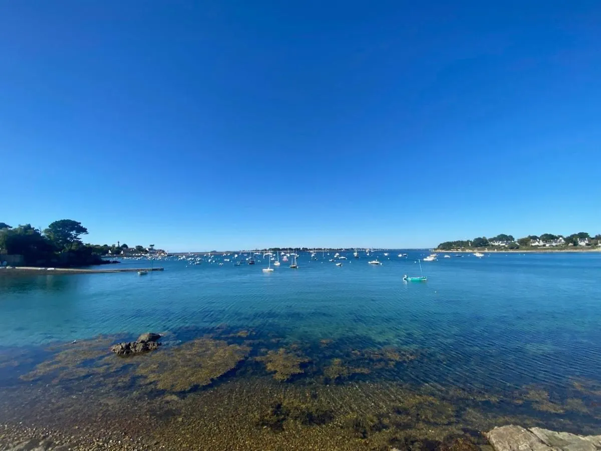 Apartment Studio Cosy A 5 Min Du Port Et De La Plage, Avec Terrasse Et Parking - 4 Pers - Fr-1-639-78 Arzon France